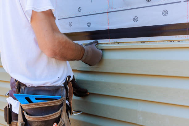 Best Insulated Siding Installation  in Houghton, NY